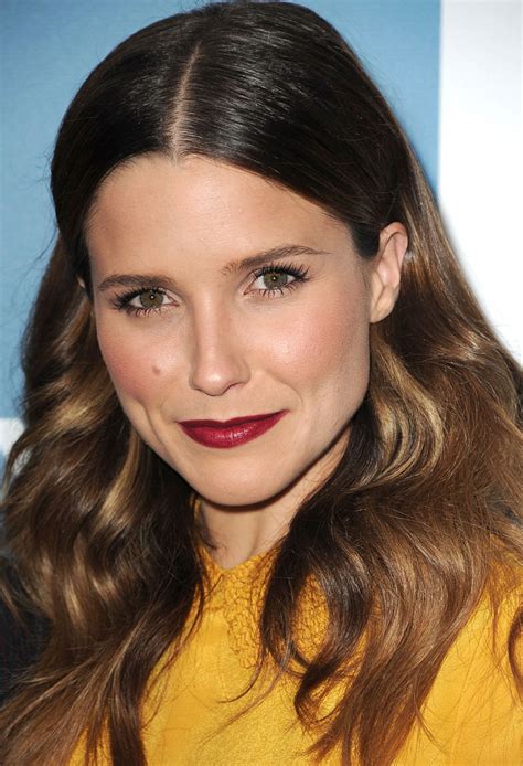 Sophia Bush: Trailblazing Through Hollywood and Beyond