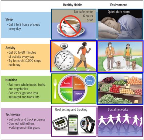 Sophiaviviana: A Comprehensive Guide to Improving Your Health and Well-being