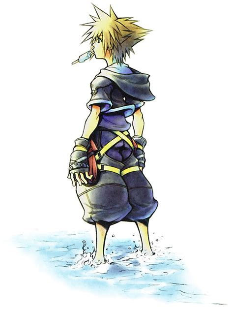 Sora's Journey Through Darkness: A Guide to Kingdom Hearts II