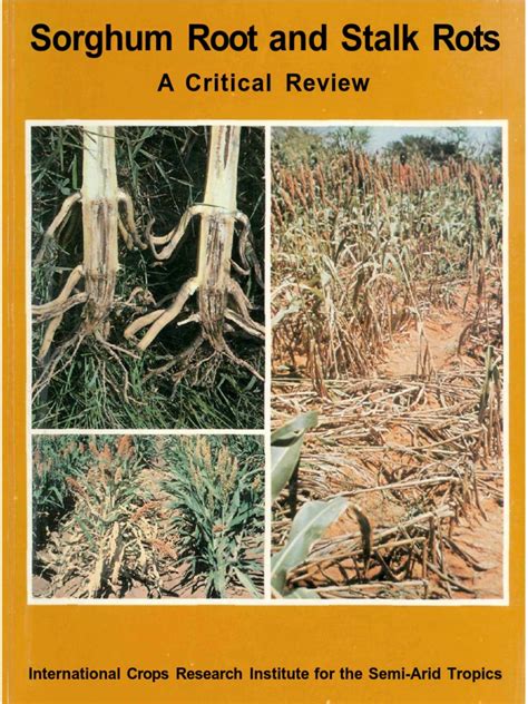 Sorghum Root and Stalk Rots Reader