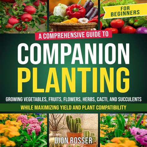 Soriyah Sann: Comprehensive Guide to Maximizing Plant Health and Yield