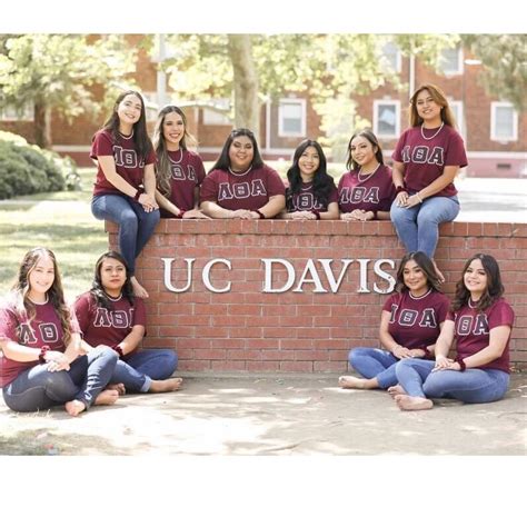 Sororities at UC Davis: A Comprehensive Guide
