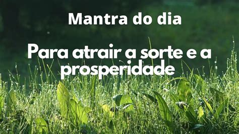 Sorte e prosperidade: