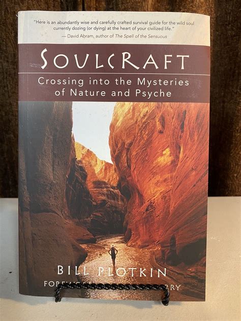 Soulcraft Crossing into the Mysteries of Nature and Psyche Kindle Editon