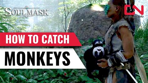 Soulmask Monkey: Unraveling the Enigmatic Primate