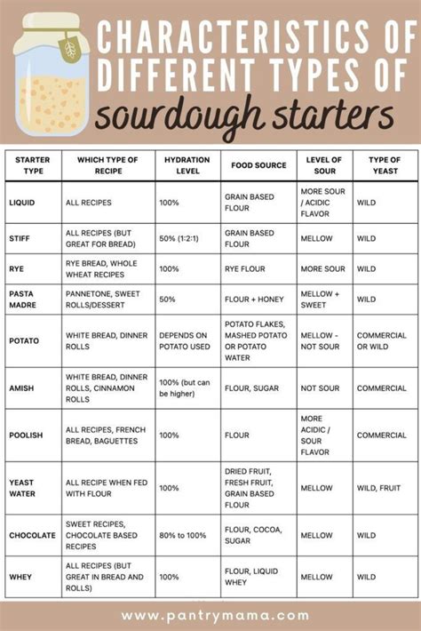Sourdough Starter Chart