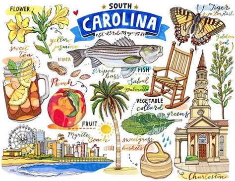 South Carolina Symbols Projects 30 Cool Activities Crafts Experiments and More for Kids to Do to Learn About Your State 3 South Carolina Experience PDF