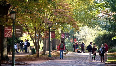 South Carolina University Popular Majors: Unlock Your Potential