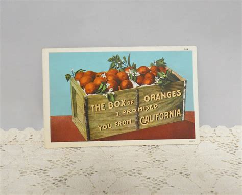 Southern California Oranges and Snow 1950 s Souvenir Postcard Packet Folder D-11710 Epub