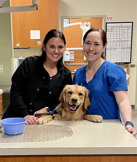 Southpoint Animal Hospital Durham: A Comprehensive Guide to Your Pet's Health