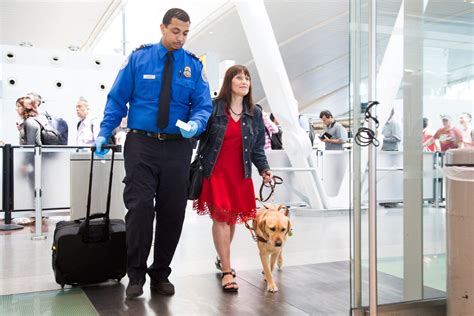 Southwest Airlines Pet Policy: Everything You Need to Know for 2023