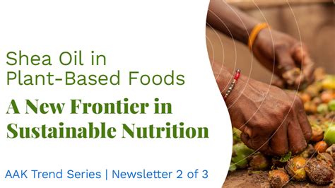 Soy Sofias: The New Frontier in Sustainable Nutrition