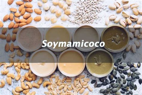 Soymamicoco: A Comprehensive Guide to the Benefits, Uses, and Precautions