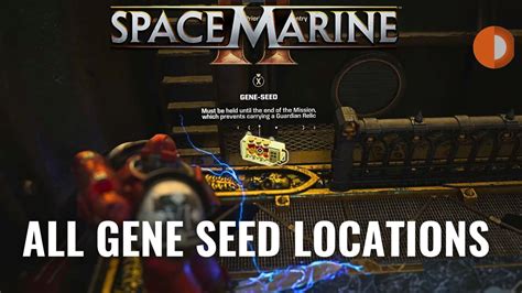 Space Amrine 2 Gene Seed Spawns