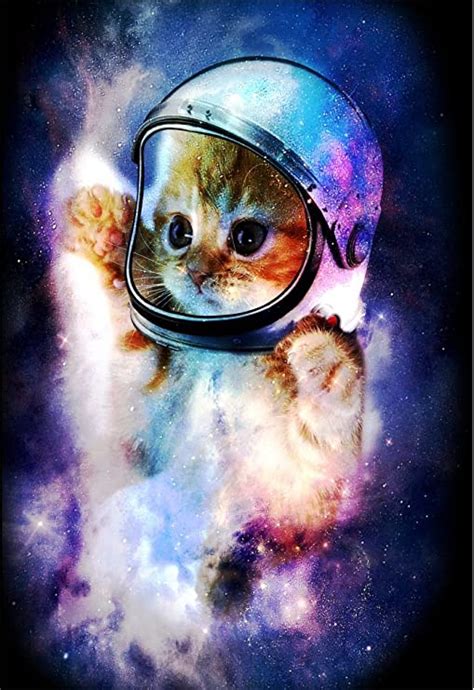 Space Cat and the Kittens Epub