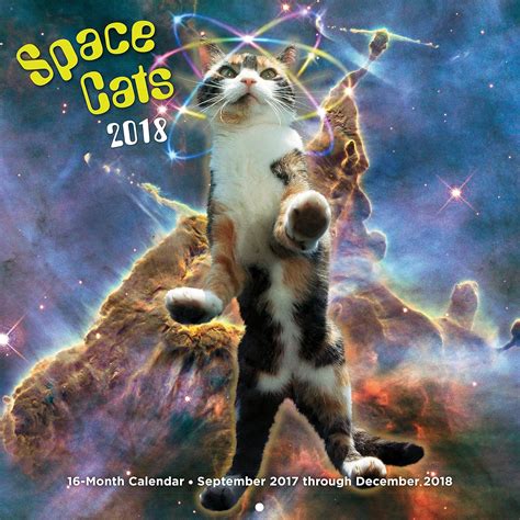 Space Cats 2017 16 Month September Epub