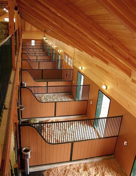Spacious Stables: