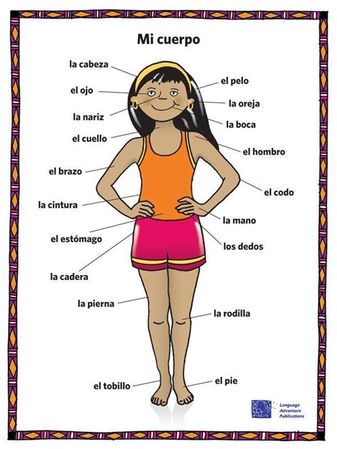 Spanish Body Parts Chart