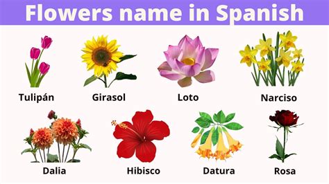 Spanish flower meanings