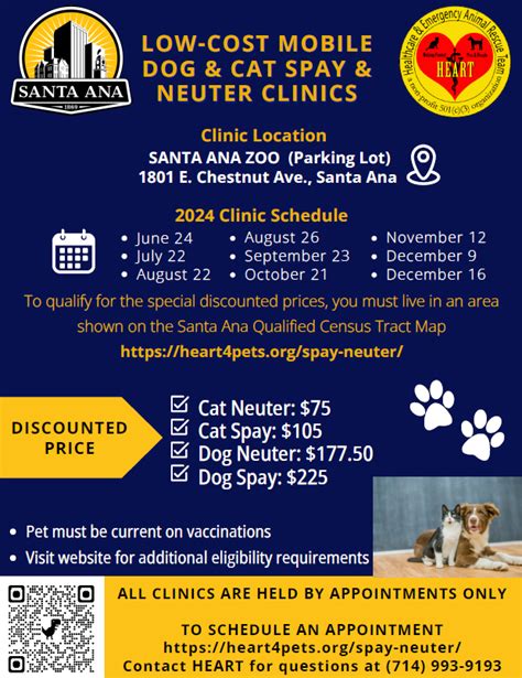 Spay Services Near Me: All You Need to Know