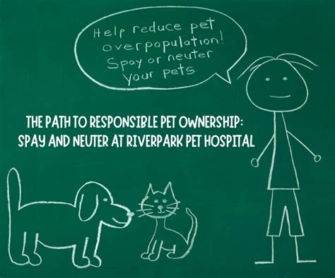 Spay and Neuter: A Responsible Pet Ownership