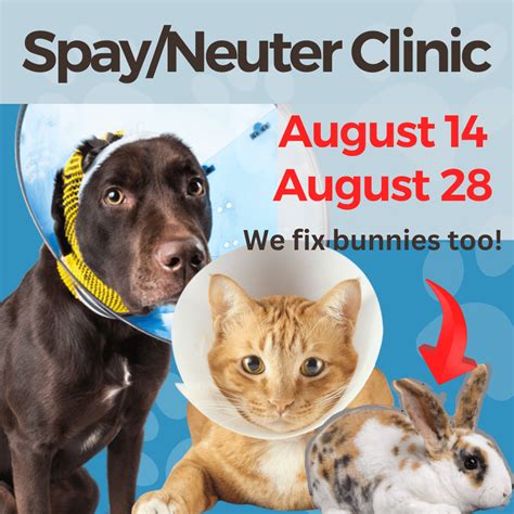 Spay and Neuter Clinics Near Me: A Comprehensive Guide (10,000+ Words)