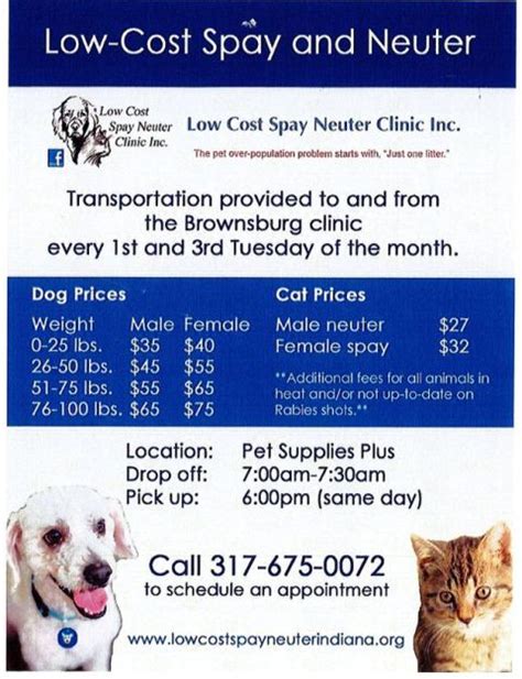 Spayed and Neutered Near Me: Everything You Need to Know