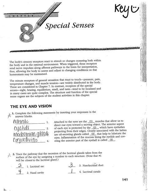 Special Senses Vision Answer Key PDF