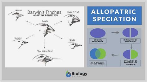 Speciation Study Guide Answer Key 1 Doc