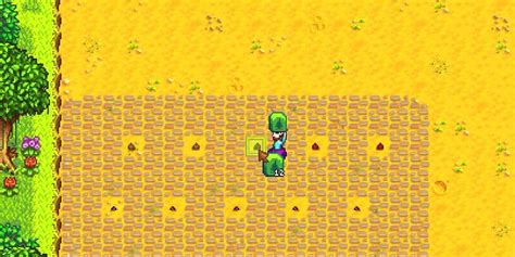 Speed Gro and Fertilizer in Stardew Valley: A Detailed Guide