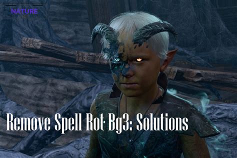 Spell Rot: Consequences, Causes, and Innovative Solutions