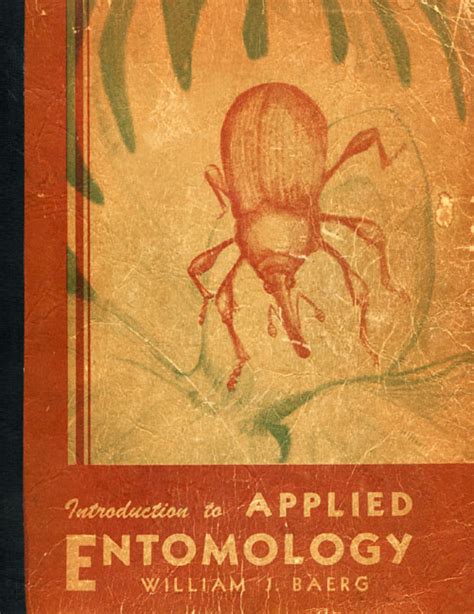 Spice Up Your World with "Spicybeetle": A New Era of Applied Entomology and Beyond