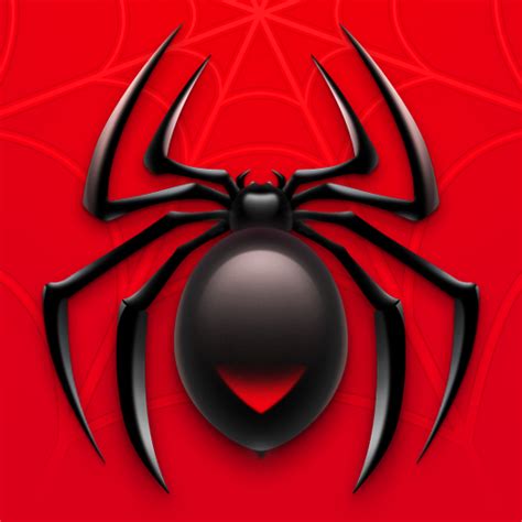 Spider PDF