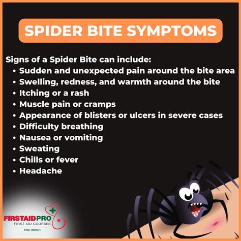 Spider Bites in Singapore: A Comprehensive Guide to Prevention, Treatment, and Recovery