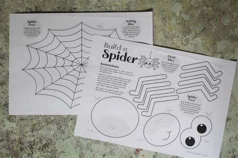 Spider Craft Template