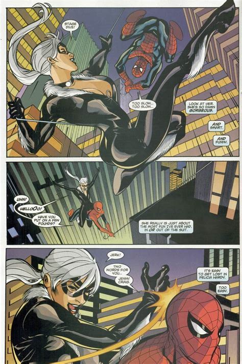 Spider-man and the Black Cat The Evil That Men Do 5 February 2006 Doc