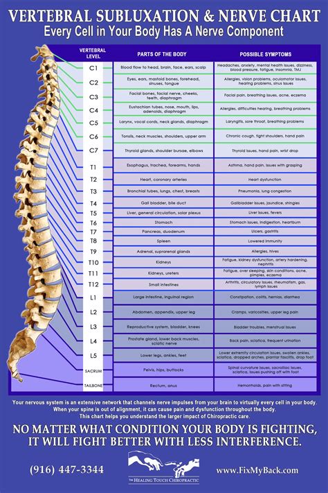 Spine Nerve Pain Chart