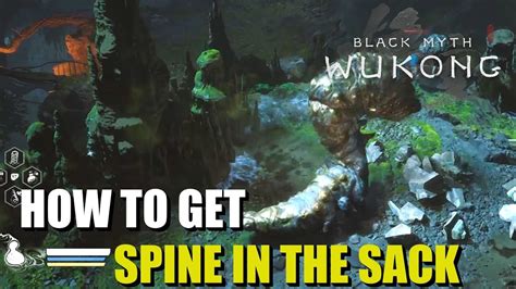 Spine in the Sack: Wukong's Unseen Legacy