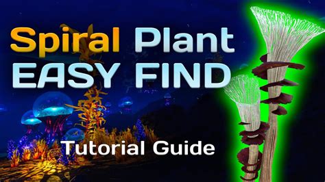 Spiral Plant Clipping: The Ultimate Guide to Cultivation and Applications