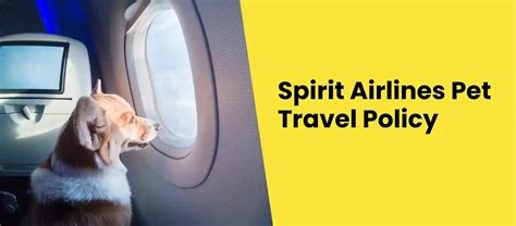 Spirit Airlines pet fee