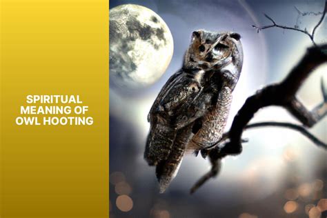 Spiritual Meaning of Owl Hooting: Unveiling the Ancient Wisdom