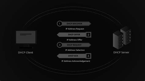 Splitters: The Unsung Heroes of Home Networking