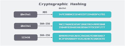 Sponge Crypto: The Future of Cryptographic Hashing