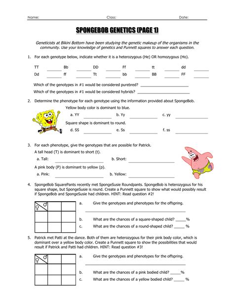 Spongebob Genetics Quiz Answer Sheet Kindle Editon