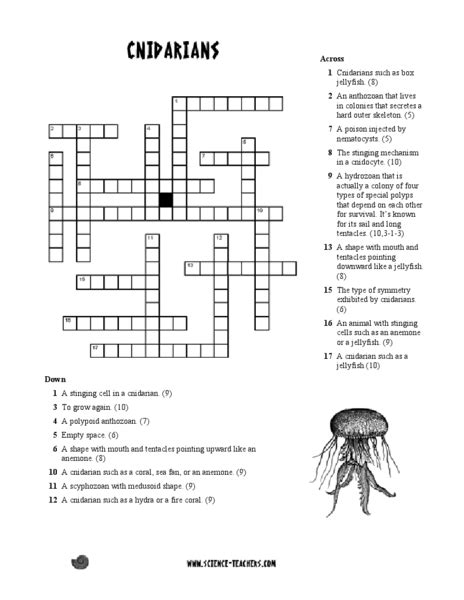 Sponges And Cnidarians Crossword Puzzle Answers Reader