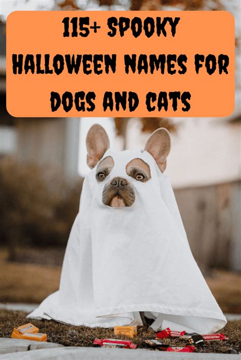 Spooky Halloween Dog Names