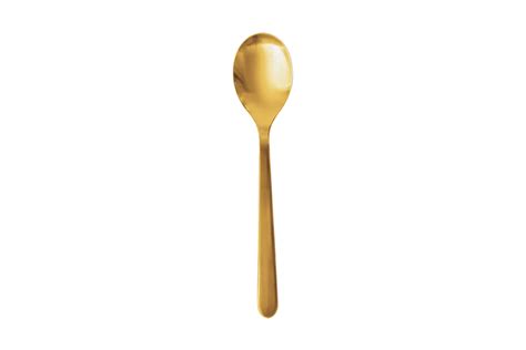 Spoon PDF