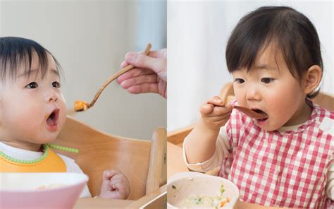 Spoon-Fed vs. Spoon-Led Weaning: A Comprehensive Guide