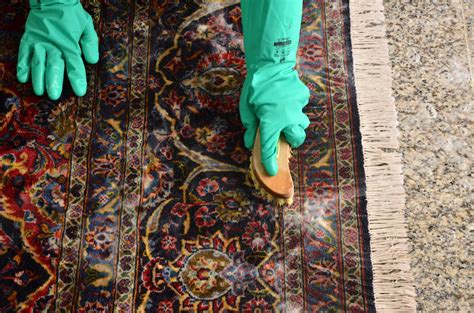 Spot Cleaners for Rugs: The Ultimate 5X Cleaning Guide