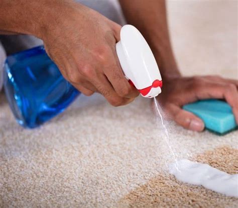 Spot Cleaning Carpet Cleaner: 40 Ultimate Tips for a Flawless Finish